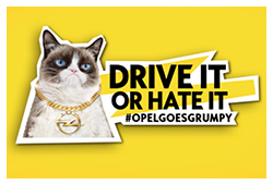 DRIVE IT OR HATE IT - #OpelGoesGrumpy
