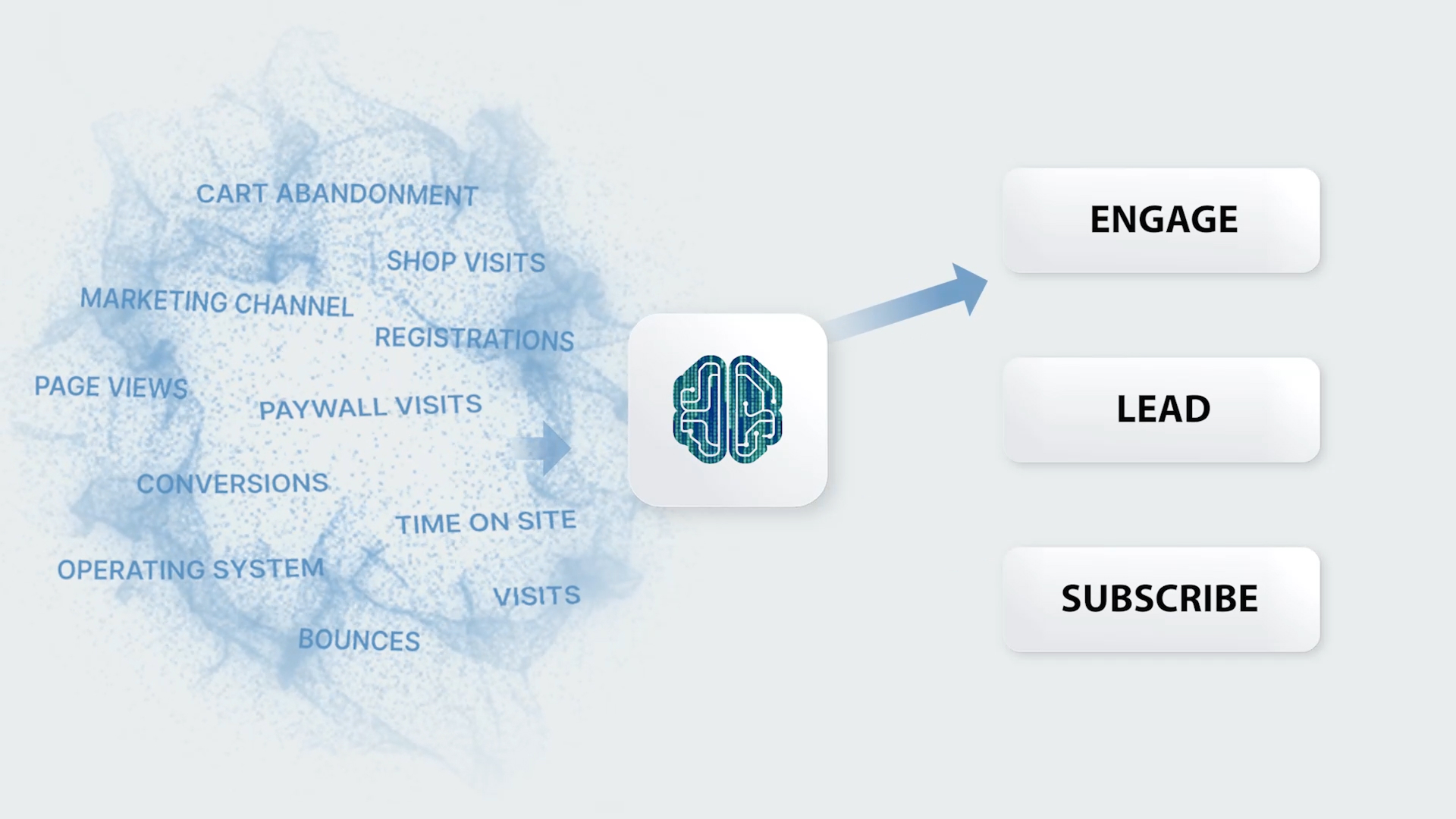 OIMS AI Segmentation Model
